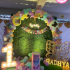 Butterfly Theme Party