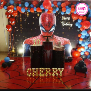 Spiderman Birthday Theme